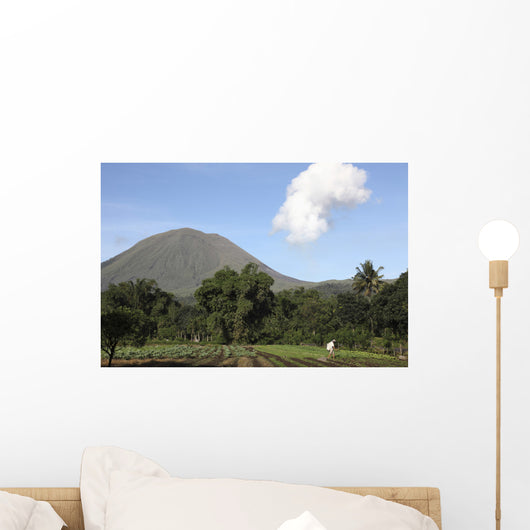 Agriculture near Kinilow Town Wall Decal