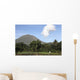 Agriculture near Kinilow Town Wall Decal