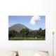 Agriculture near Kinilow Town Wall Decal