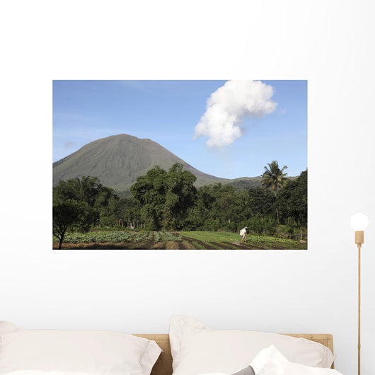 Agriculture near Kinilow Town Wall Decal