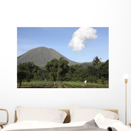 Agriculture near Kinilow Town Wall Decal