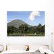 Agriculture near Kinilow Town Wall Decal