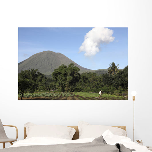 Agriculture near Kinilow Town Wall Decal