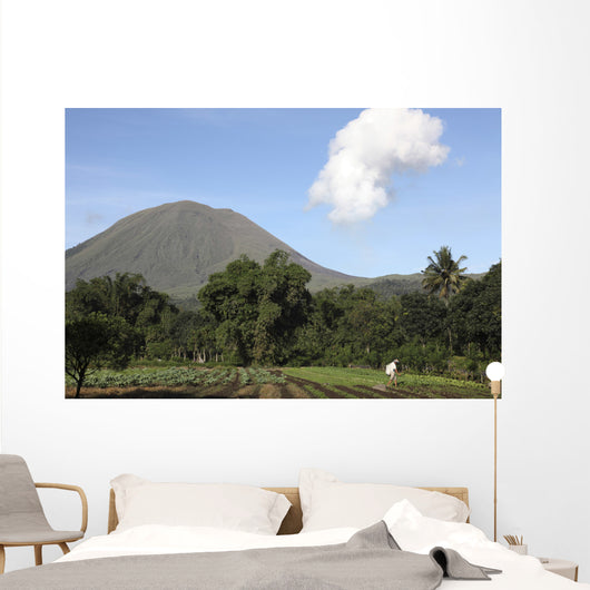 Agriculture near Kinilow Town Wall Decal