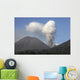 Ash Cloud Rising from Wall Decal Design 16