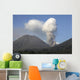 Ash Cloud Rising from Wall Decal Design 16