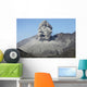 Ash Cloud Rising from Wall Decal Design 15