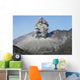 Ash Cloud Rising from Wall Decal Design 15