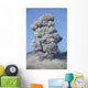 Eruption Sakurajima Volcano Japan Wall Decal Design 2
