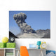 Explosive Eruption Sakurajima Volcano Wall Decal Design 5