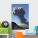 Ash Cloud Produced Powerful Wall Decal