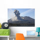 Ash Cloud Rising from Wall Decal Design 13