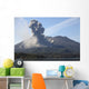 Ash Cloud Rising from Wall Decal Design 13