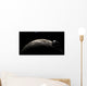 Orion-drive Spacecraft Lunar Orbit Wall Decal
