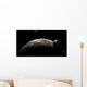 Orion-drive Spacecraft Lunar Orbit Wall Decal