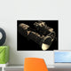 French Bulgarian Orbital Weapons Wall Decal Design 2