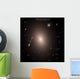 Selection Galaxies Shown to Wall Decal