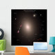 Selection Galaxies Shown to Wall Decal