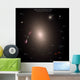 Selection Galaxies Shown to Wall Decal