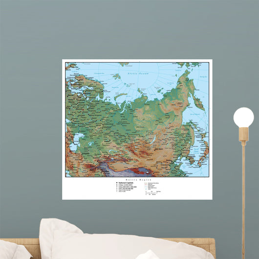 Map of Russia Wall Mural