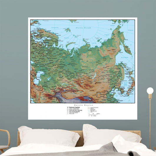 Map of Russia Wall Mural