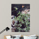 Hummingbird Wall Decal Design 2
