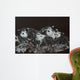 Rodents Wall Decal