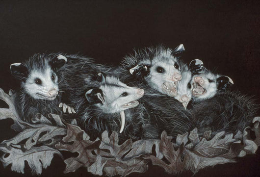 Rodents Wall Decal