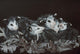 Rodents Wall Decal