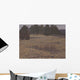 Kensington Field Wall Decal