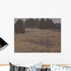Kensington Field Wall Decal