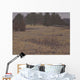 Kensington Field Wall Decal