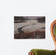 Nature Center Drain off Wall Decal
