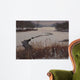 Nature Center Drain off Wall Decal