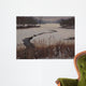 Nature Center Drain off Wall Decal