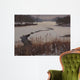 Nature Center Drain off Wall Decal