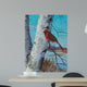Painting for Red Bird Wall Decal