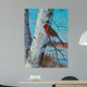 Painting for Red Bird Wall Decal