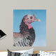 Rainbow Bird Wall Decal