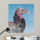 Rainbow Bird Wall Decal