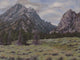 Teton Wall Decal