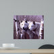 A Pair Of White Wolves Wall Mural