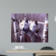 A Pair Of White Wolves Wall Mural