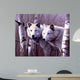 A Pair Of White Wolves Wall Mural