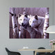 A Pair Of White Wolves Wall Mural