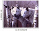 A Pair Of White Wolves Wall Mural