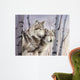 Two Wolves Birches Wall Decal