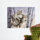 Two Wolves Birches Wall Decal