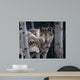 Wolves Wall Decal