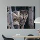 Wolves Wall Decal